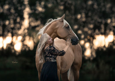 Frau streichelt Pferd Bild